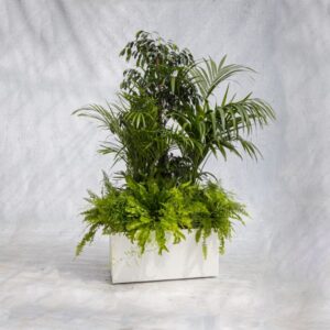 Witte “Vivo” plantenbak (S) met groene planten