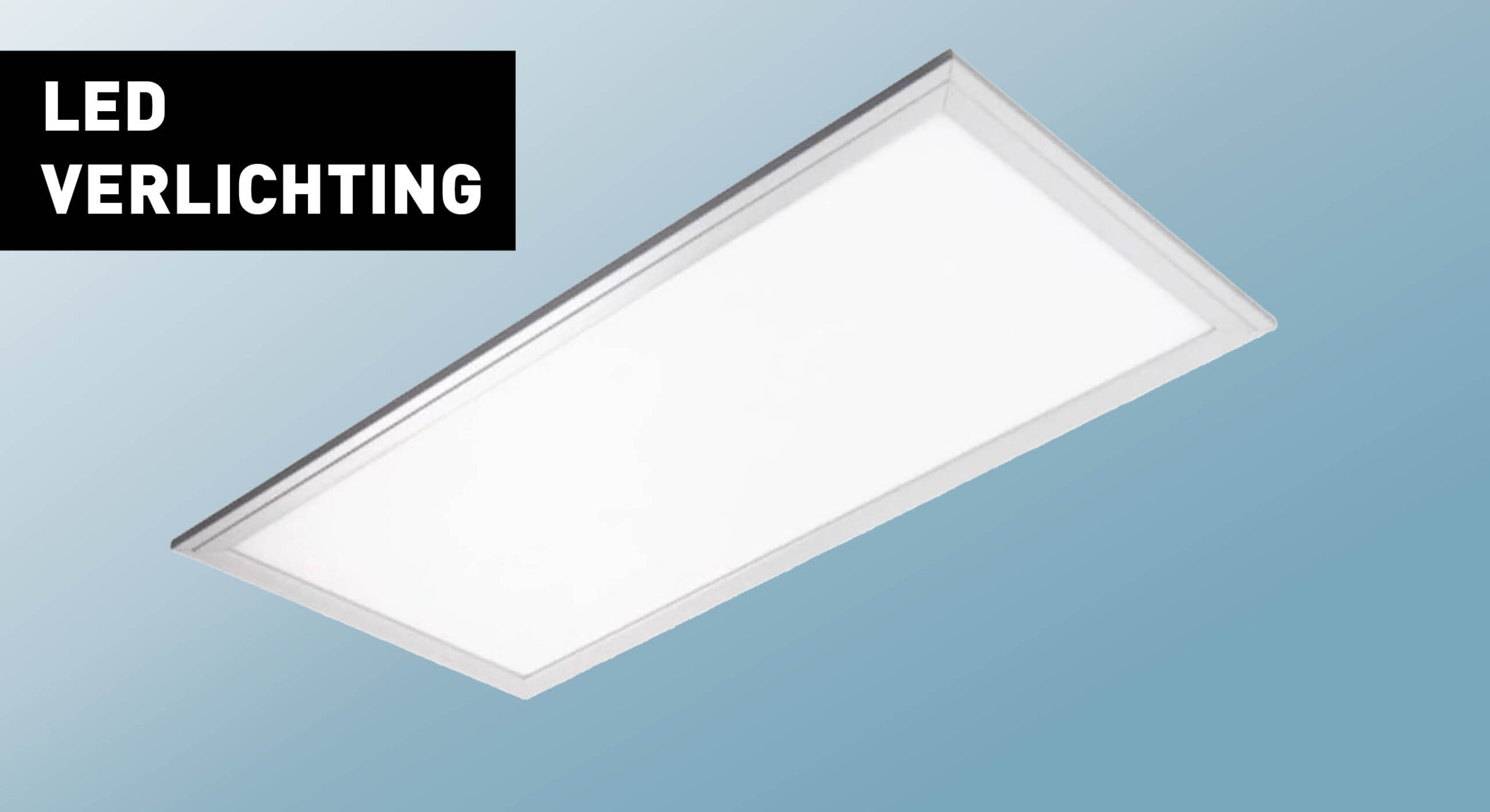 Scherm­afbeelding 2024-11-01 om 20.53.45